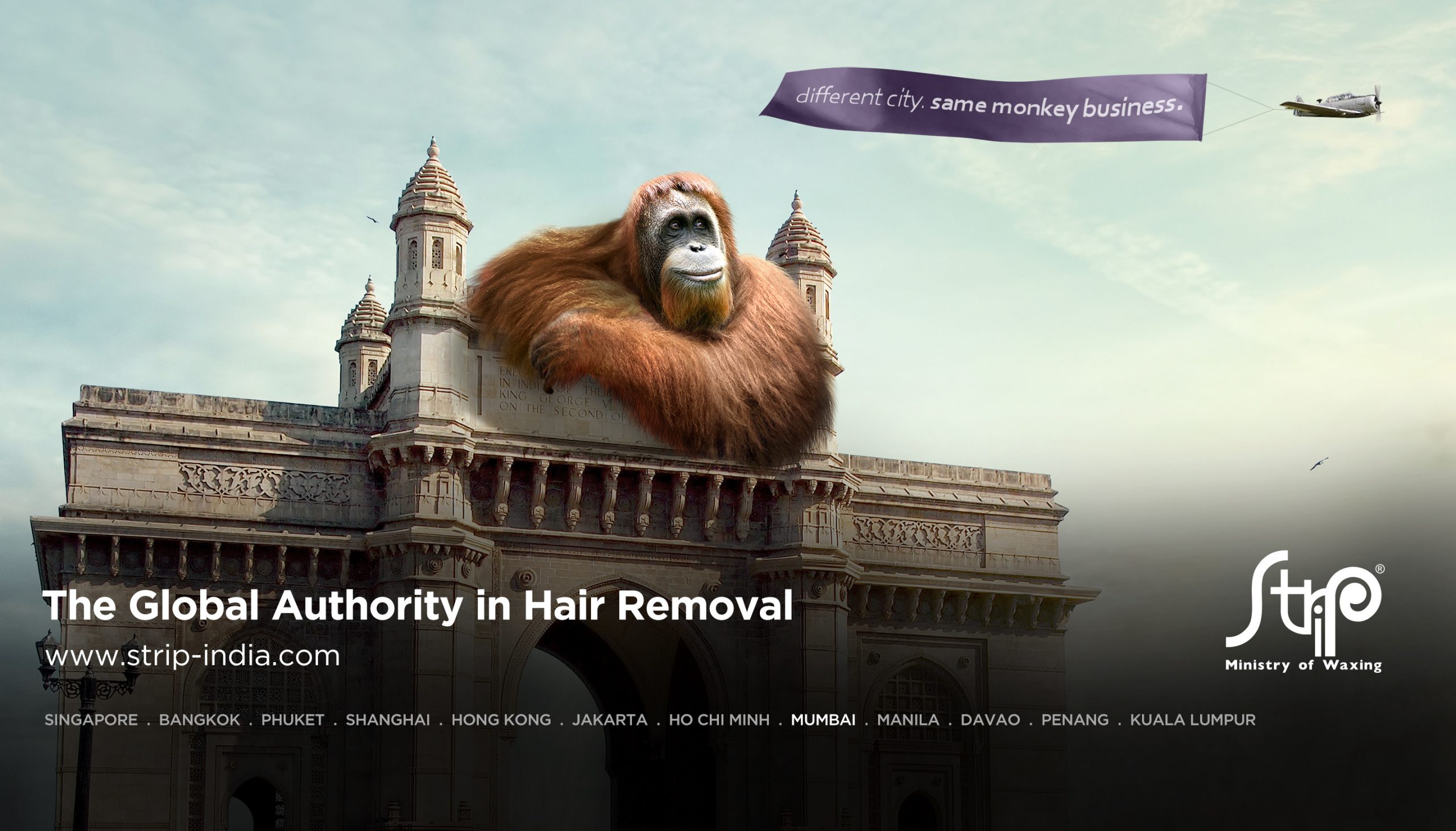 STRIP - THE BEST WAXING AND SEMI PERMANENT HAIR REMOVAL IN MUMBAI STRIP - THE BEST WAXING AND SEMI PERMANENT HAIR REMOVAL IN MUMBAI